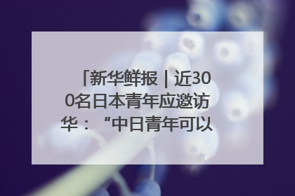 新华鲜报｜近300名日本青年应邀访华：“中日青年可以创造更好的未来”