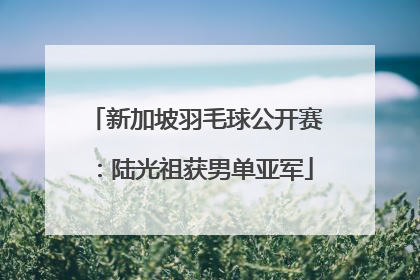 新加坡羽毛球公开赛：陆光祖获男单亚军