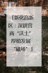 新化高新区：深耕营商“沃土” 厚植发展“磁场”