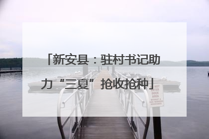 新安县：驻村书记助力“三夏”抢收抢种