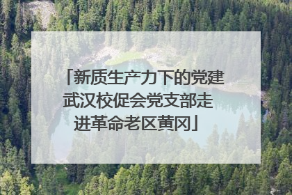 新质生产力下的党建 武汉校促会党支部走进革命老区黄冈