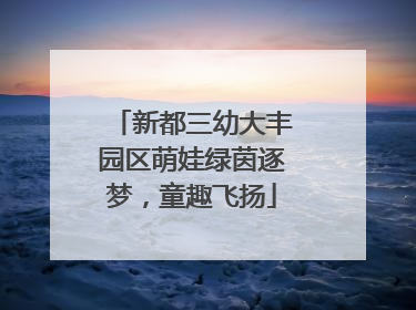 新都三幼大丰园区萌娃绿茵逐梦，童趣飞扬