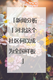 新闻分析丨河北这个社区何以成为全国样板