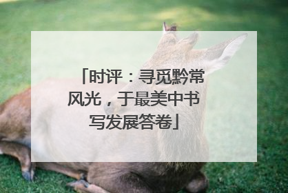 时评：寻觅黔常风光，于最美中书写发展答卷