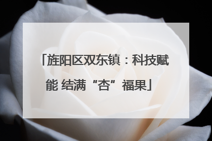 旌阳区双东镇：科技赋能 结满“杏”福果