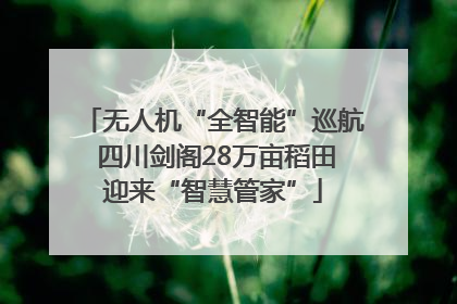 无人机“全智能”巡航 四川剑阁28万亩稻田迎来“智慧管家”
