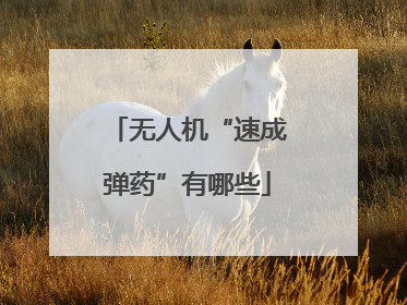 无人机“速成弹药”有哪些