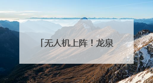 无人机上阵！龙泉“飞防”作业助力松材线虫病防治