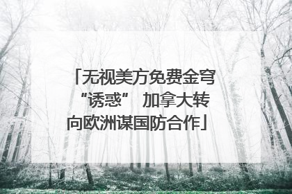无视美方免费金穹“诱惑” 加拿大转向欧洲谋国防合作