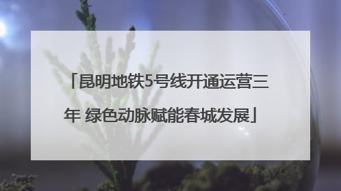 昆明地铁5号线开通运营三年 绿色动脉赋能春城发展