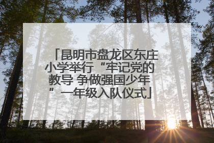 昆明市盘龙区东庄小学举行“牢记党的教导 争做强国少年”一年级入队仪式