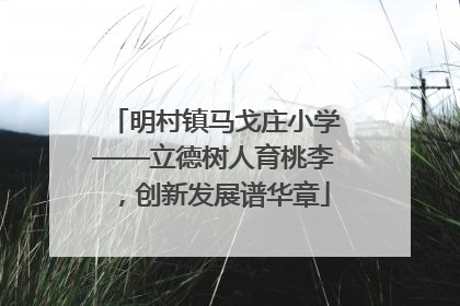 明村镇马戈庄小学——立德树人育桃李，创新发展谱华章