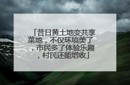 昔日黄土地变共享菜地，不仅环境美了，市民多了体验乐趣，村民还能增收