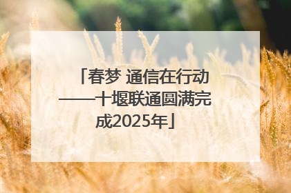 春梦 通信在行动——十堰联通圆满完成2025年