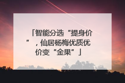 智能分选“提身价”，仙居杨梅优质优价变“金果”