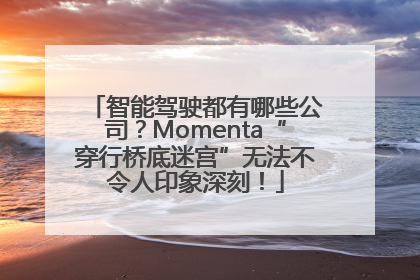 智能驾驶都有哪些公司？Momenta“穿行桥底迷宫”无法不令人印象深刻！