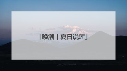 晚潮｜夏日说莲