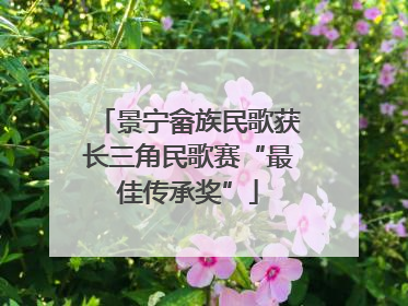 景宁畲族民歌获长三角民歌赛“最佳传承奖”
