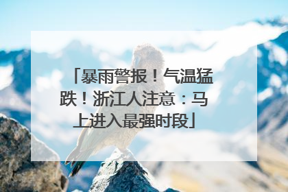 暴雨警报！气温猛跌！浙江人注意：马上进入最强时段