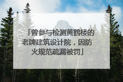 曾参与检测黄鹤楼的老牌建筑设计院，因防火规范疏漏被罚