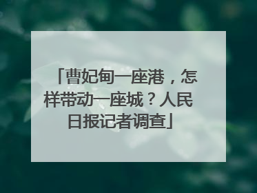 曹妃甸一座港，怎样带动一座城？人民日报记者调查