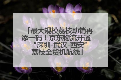 最大规模荔枝助销再添一码！京东物流开通“深圳-武汉-西安” 荔枝全货机航线