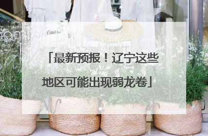 最新预报！辽宁这些地区可能出现弱龙卷