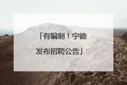 有编制！宁德发布招聘公告
