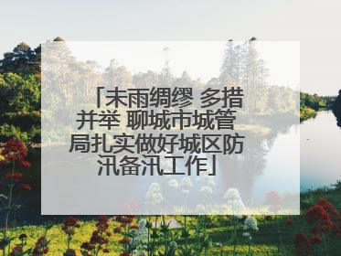 未雨绸缪 多措并举 聊城市城管局扎实做好城区防汛备汛工作