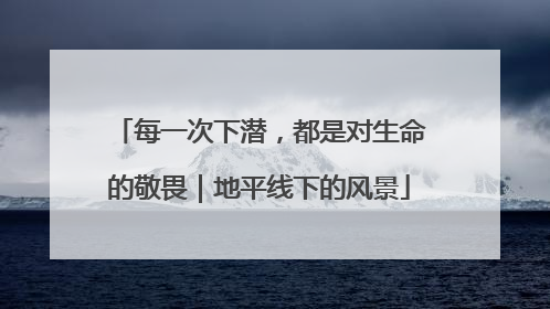 每一次下潜，都是对生命的敬畏｜地平线下的风景
