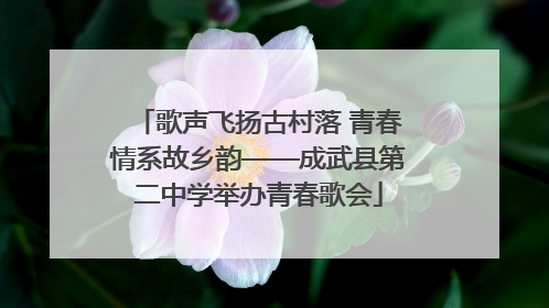 歌声飞扬古村落 青春情系故乡韵——成武县第二中学举办青春歌会