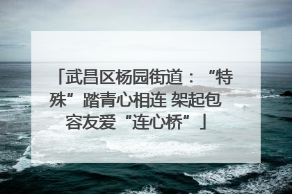 武昌区杨园街道：“特殊”踏青心相连 架起包容友爱“连心桥”
