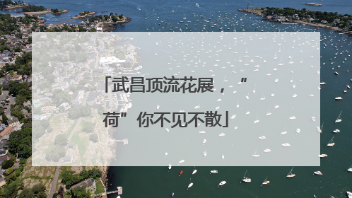 武昌顶流花展，“荷”你不见不散
