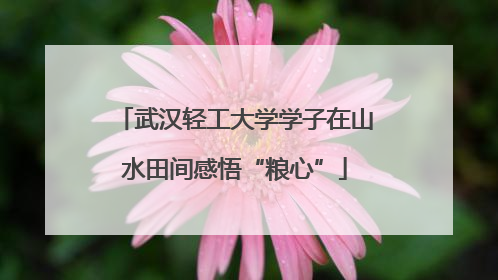 武汉轻工大学学子在山水田间感悟“粮心”