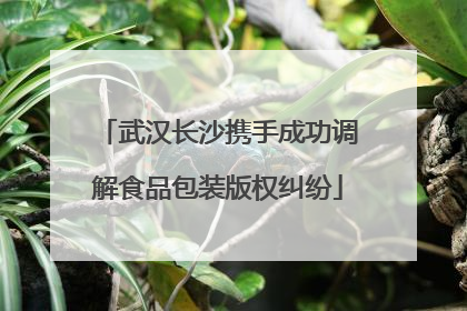 武汉长沙携手成功调解食品包装版权纠纷