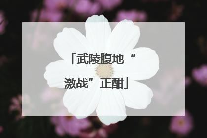 武陵腹地“激战”正酣