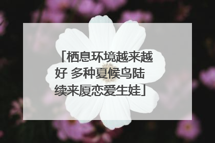 栖息环境越来越好 多种夏候鸟陆续来厦恋爱生娃