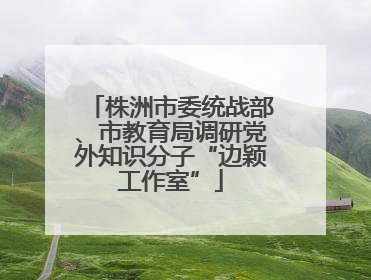 株洲市委统战部、市教育局调研党外知识分子“边颖工作室”