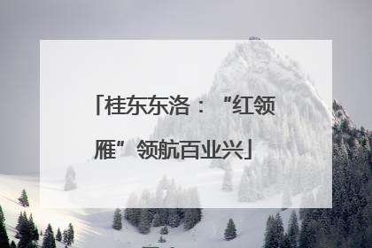 桂东东洛：“红领雁”领航百业兴