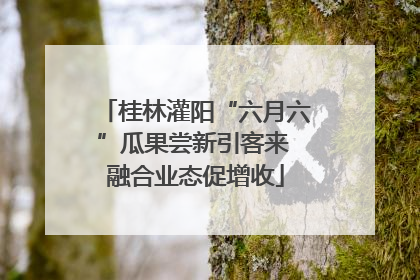 桂林灌阳“六月六”瓜果尝新引客来 融合业态促增收