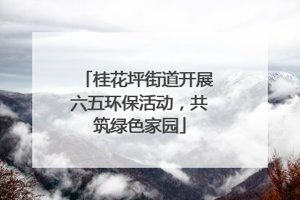 桂花坪街道开展六五环保活动，共筑绿色家园