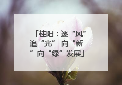 桂阳：逐“风”追“光” 向“新”向“绿”发展