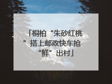桐柏“朱砂红桃”搭上邮政快车抢“鲜”出村
