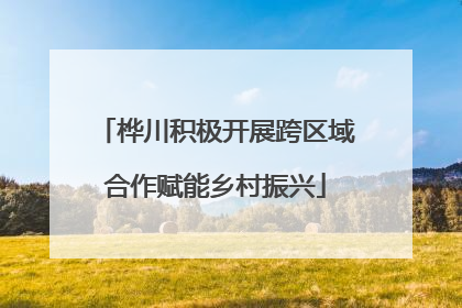 桦川积极开展跨区域合作赋能乡村振兴