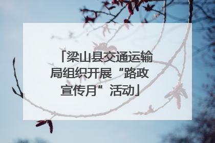 梁山县交通运输局组织开展“路政宣传月”活动