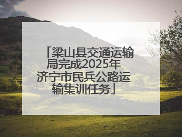 梁山县交通运输局完成2025年济宁市民兵公路运输集训任务
