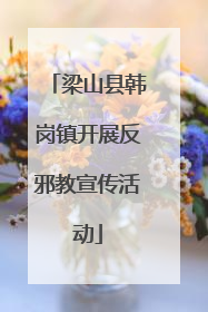 梁山县韩岗镇开展反邪教宣传活动