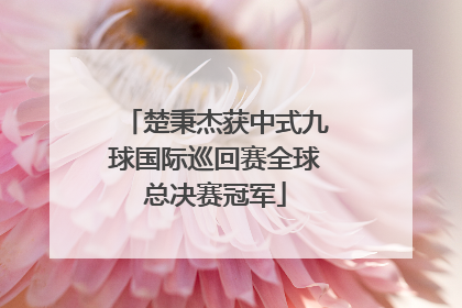 楚秉杰获中式九球国际巡回赛全球总决赛冠军