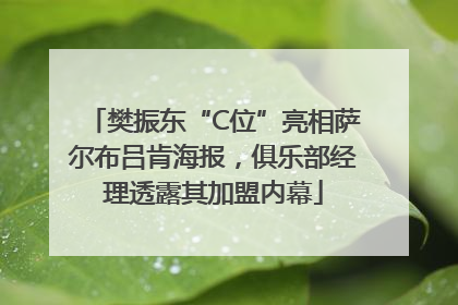 樊振东“C位”亮相萨尔布吕肯海报，俱乐部经理透露其加盟内幕