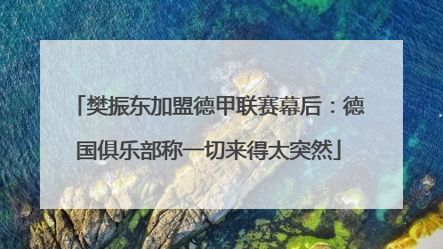 樊振东加盟德甲联赛幕后：德国俱乐部称一切来得太突然
